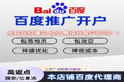 竞价托管服务对比：不同平台的优劣分析